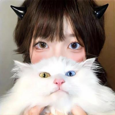 星光照万家