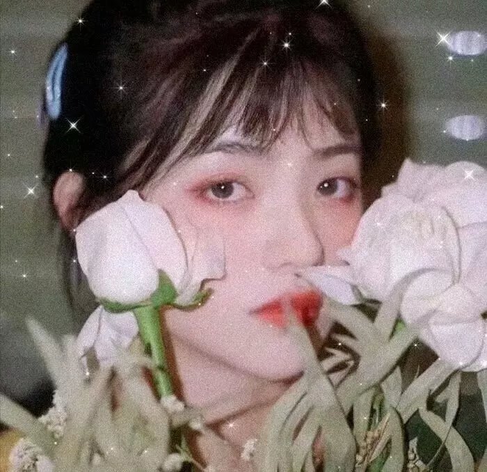 海底娇娃蓝华