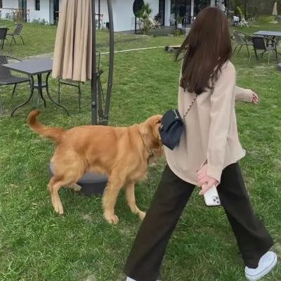 桃色杀机
